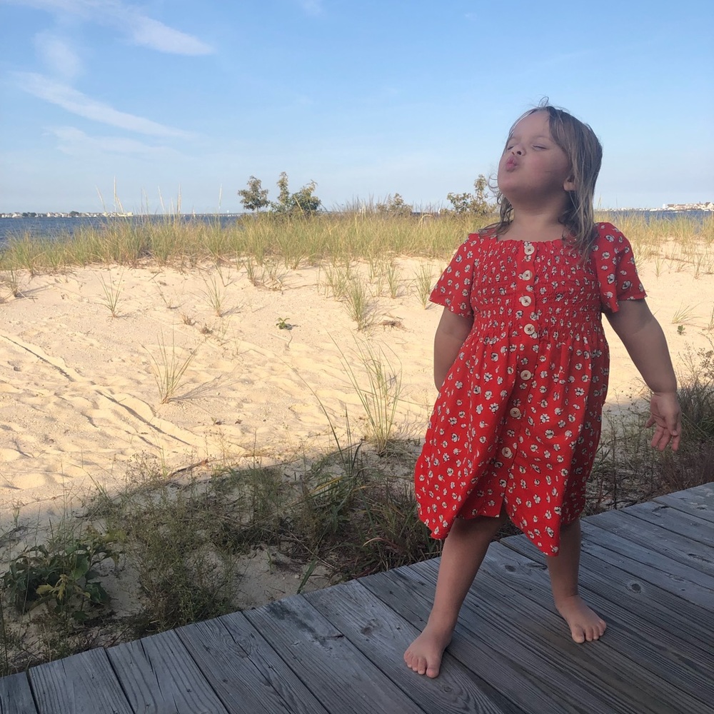 Zara Red Floral Dress